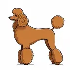 brown prop poodle tail image